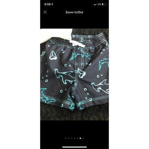 Gymboree Size 12 month 12m blue shark swim shorts trunks